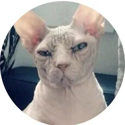 SFUNKS