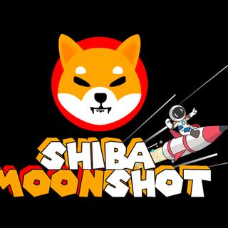 SHIBMS