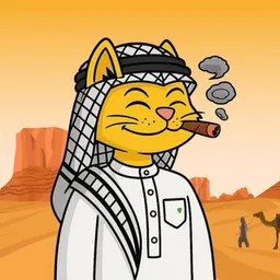 MSHEIKH