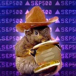 S&P500