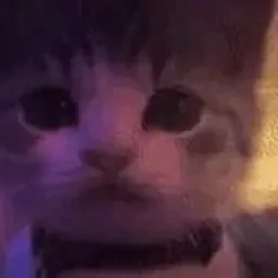 rizz cat token logo
