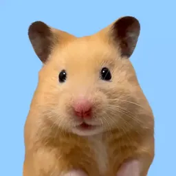 KUTO