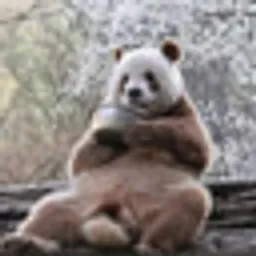 QIZAI