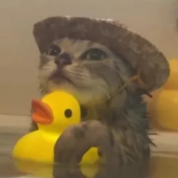 SOGGY