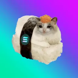 SOLSHI