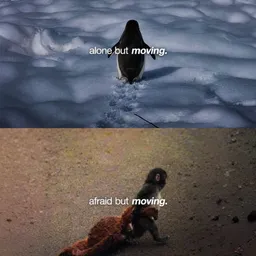 Moving