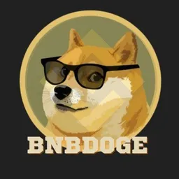 BNBDOGE