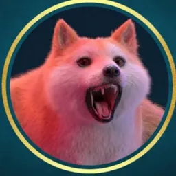 SDOGE